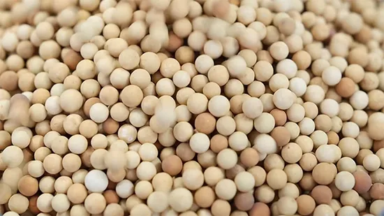 Carbon Support Catalyst